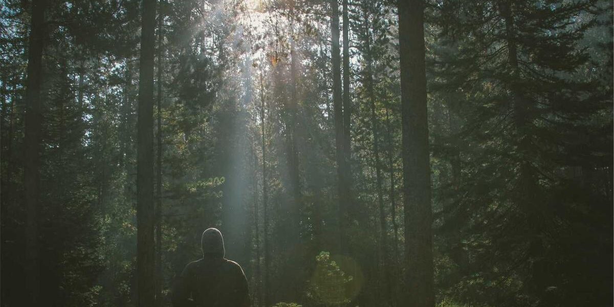 Popcorn Ceilings: Design Guide