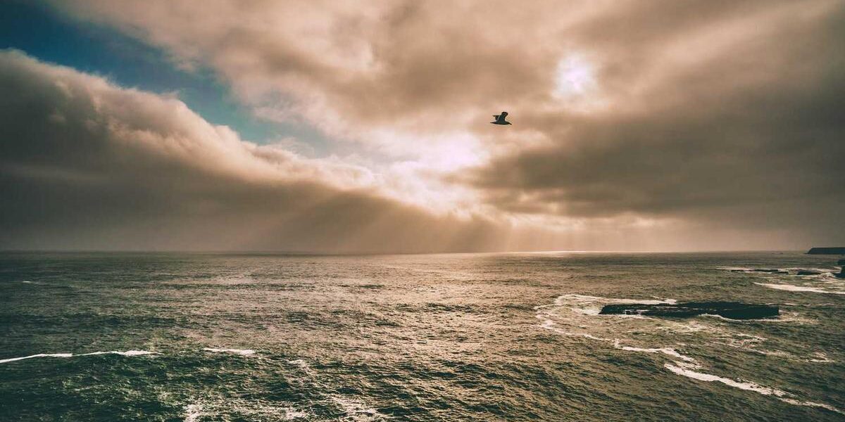 Duct Cleaning Scams: How to Identify and Avoid Them