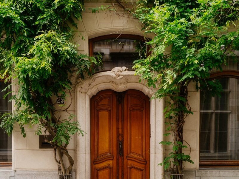 Top Picks: Best Deck Stain for Treated Wood